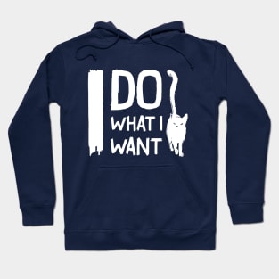 Funny cat I do what I want with my cat - Pet gift Hoodie